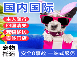 常州奔牛机场物流国际宠物托运 【国